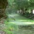 Le marais sur l'eau